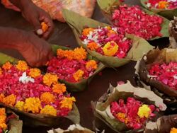 Street vendor selling worship items in the market, Haridwar, Uttarakhand, India Stock Footage