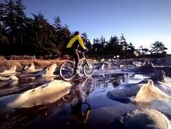 WS POV View of Young Man riding mountain bike / Shore Acres State Park, Oregon, United States  Stock Footage
