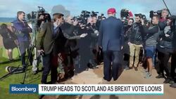 Paul De Grauwe: Politicians Getting Away With Lies News Clip