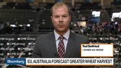 Wheat Declines on European Union, Australian Crop Forecasts News Clip
