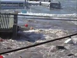 Relatives mourn victims of tsunami on 5th anniversary, vigil News Clip