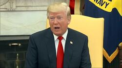 Trump Welcomes Bahrain's Crown Prince to WH News Clip