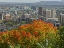 Cartier Bridge From Mont Royale Stock Footage