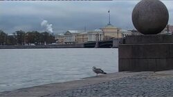 Mammoth remains reveal the ancient world Instructional Video