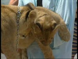 FRANCE: CANNES FILM FESTIVAL: 2ND DAY News Clip