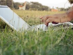 Men Working on Laptop Outdoor Stock Footage