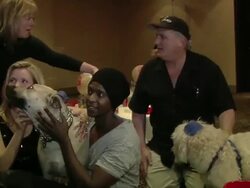 Evanger's Presents 'Passover Seder For Dogs' Hosted By Dog News Daily Stock Footage