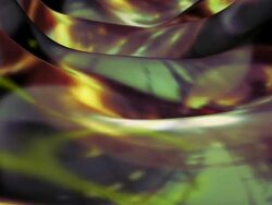 (Loop) Living Tunnel Stock Footage