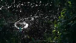 agricultural sprinkler, slow motion shot Stock Footage