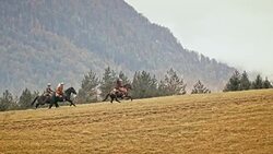 SLO MO Three herdsmen galloping on horses up the mountain Stock Footage