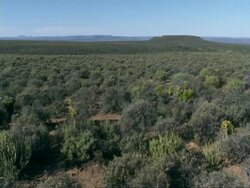 Locked off shot of scrub landscape, distant mountain, Namaqualand, South Africa Stock Footage