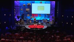 Christien Meindertsma: How pig parts make the world turn Instructional Video