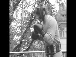 SYND 13 9 67 HEAVYWEIGHTS PREPARE FOR TITLE FIGHT Instructional Video