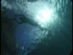 Snorkler swimming in sunbeams through water, MS, Tonga Stock Footage