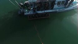 Drone aerials of sharks at sea News Clip