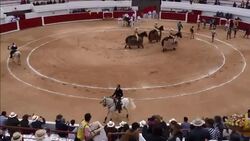 CLEAN : Bullfighting losing the battle in Colombia News Clip