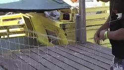 CLEAN : Fishermen in strike hit Guiana demand end to illegal fishing News Clip