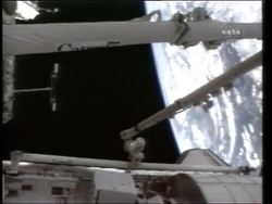 Space, Google, Termites, Hybrid Bus, US - Dog Cancer, Lying, Hungary Science News Clip