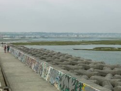 parade and Tetrapod. Stock Footage