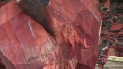 VOICED : Artistas del Congo luchan por reconocimiento News Clip