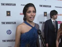 Fox Searchlight's 'Slumdog Millionaire' and 'The Wrestler' Party Stock Footage