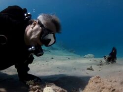 Coral And Fish Stock Footage