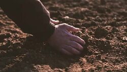 Farmer hands holding and pouring back organic soil. Soil, Agriculture, Sunlight. Stock Footage