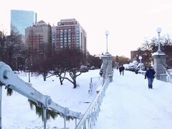 Winter Snow Storm Hammers Northeastern US Stock Footage