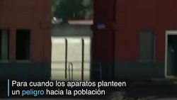 CLEAN : Aguilas que cazan drones News Clip