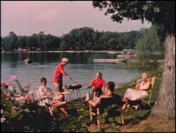 1950s outdoor suburban cookout montage Stock Footage