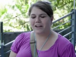 Elephants Walk On A Tightrope In Bangkok Stock Footage