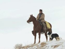 LA Man on horse on snowy hill top with dog / Shell, Wyoming, United States Stock Footage