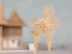 focus back view : thai house style model Stock Footage