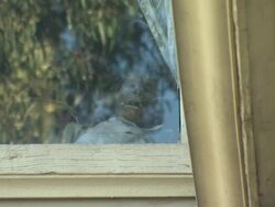 Psycho Set - Universal Studios News Clip