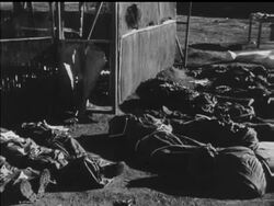 VIETNAM - ORDEAL OF PLEI ME News Clip