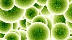 Virus Cells Falling Dawn Stock Footage