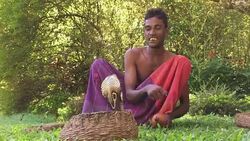 Snake Charmer in Sri Lanka Stock Footage