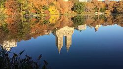 Central Park in Fall Stock Footage