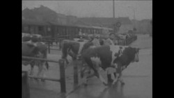 CAN671 NIGER PRESIDENT DIORI VISITS SLAUGHTERHOUSE IN FRANKFURT Instructional Video