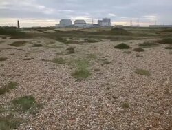 Dungeness Nuclear Power Station Stock Footage