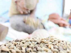 Coffee grains for sale at fair Stock Footage