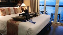 Luxury cruise on Mekong News Clip