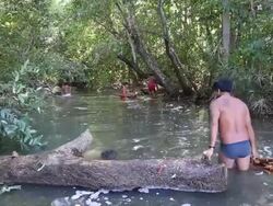 Kamayura Tribe Of The Xingu Indian Reserve Stock Footage