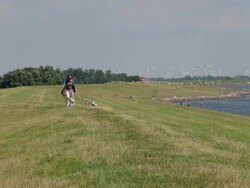 WS View of people taking photographs and view of windmills at eidersperrwerk near tonning, Dithmarschen, North Sea / Tonning, Schleswig Holstein, Germany Stock Footage