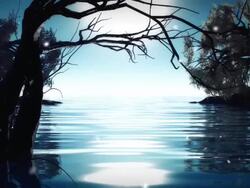 Magic place Stock Footage