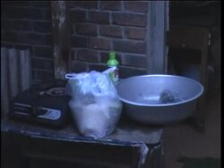 Authorities say Chinese woman has died of bird flu Instructional Video