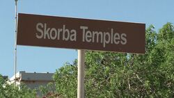 VOICED : Olives make Maltese News Clip