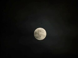 Full Moon Stock Footage
