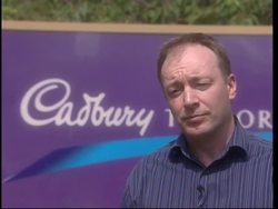 Chocolate-eating bugs help generate electricity News Clip