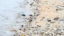 Environmental Pollution Stock Footage